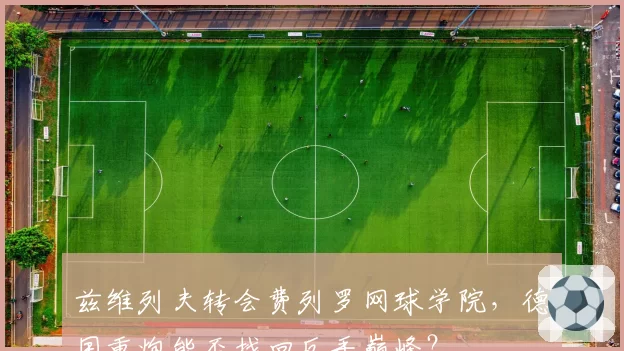兹维列夫转会费列罗网球学院，德国重炮能否找回反手巅峰？