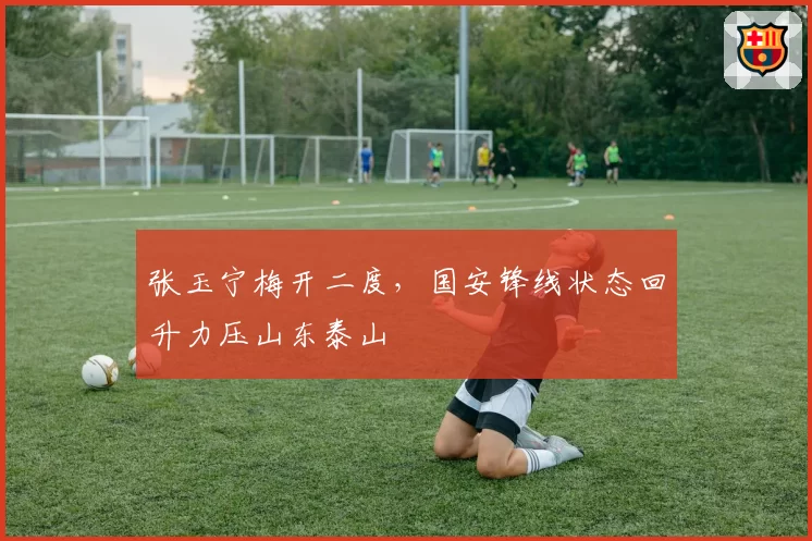 张玉宁梅开二度，国安锋线状态回升力压山东泰山