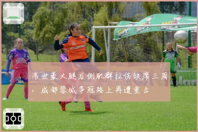 韦世豪大腿后侧肌群拉伤缺席三周，成都蓉城争冠路上再遭重击