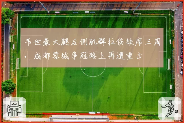 韦世豪大腿后侧肌群拉伤缺席三周，成都蓉城争冠路上再遭重击